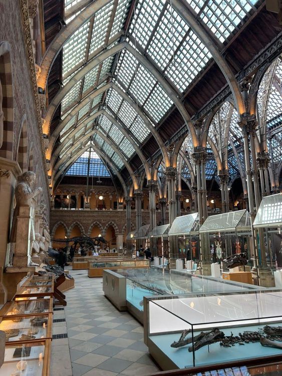 Science Deep Dive Oxford 2025